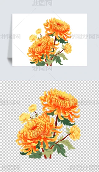 ꖹزľջ⓸زĲ宋