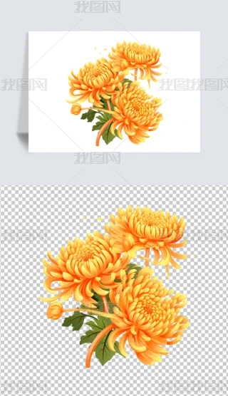 ꖹزľջ⓸زĲ宋