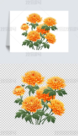ꖹزľջ⓸زĲ宋