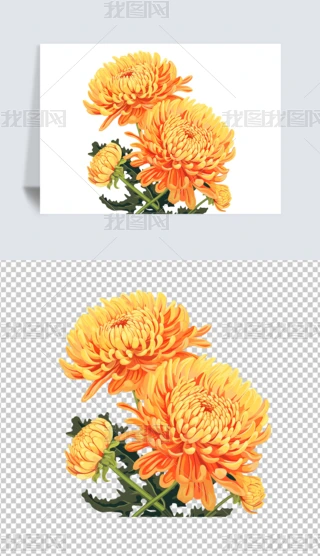 ꖹزľջ⓸زĲ宋