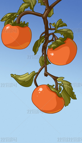 ӺP