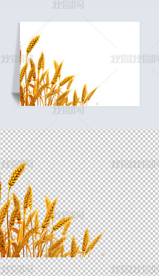 rSfr⓸زĲ宋