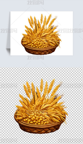 ɫСԪ