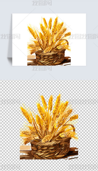 ɫСԪ