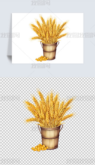 ɫСԪ