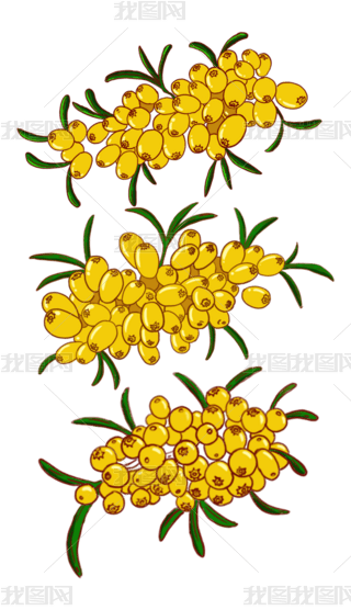 ͨLɳز