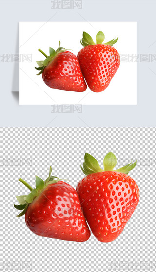rˮtɫݮrˮԪ؈DƬ