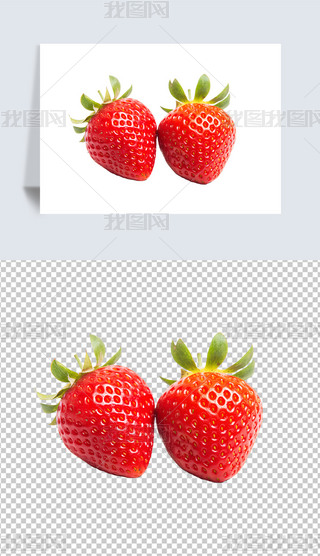 rˮtɫݮrˮԪ؈DƬ