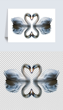 ֻZ⓸Ԫ