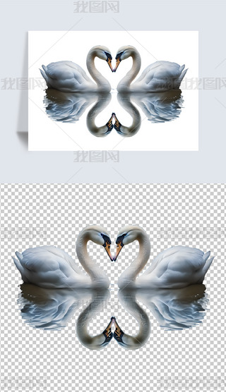 ֻZ⓸Ԫ