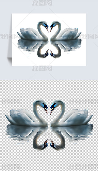 ֻZ⓸Ԫ