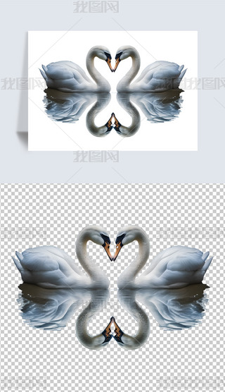 ֻZ⓸Ԫ