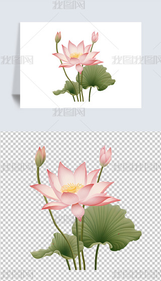 Ї(gu)L(fng)ɻˮīز⓸Ԫ