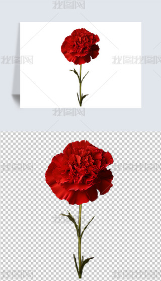 L(fng)N^ֲﻨܼtɫܰԪ