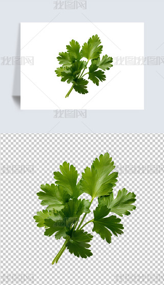 ЙCGɫ߲⓸ز