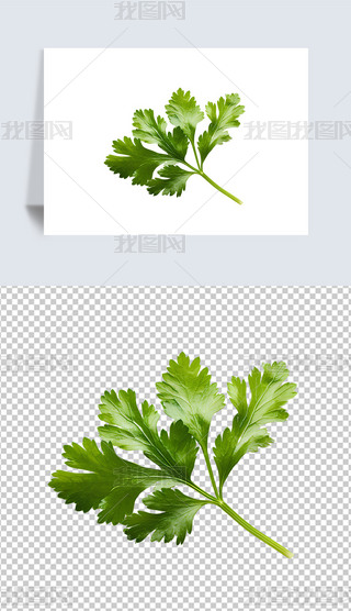 ЙCGɫ߲⓸ز