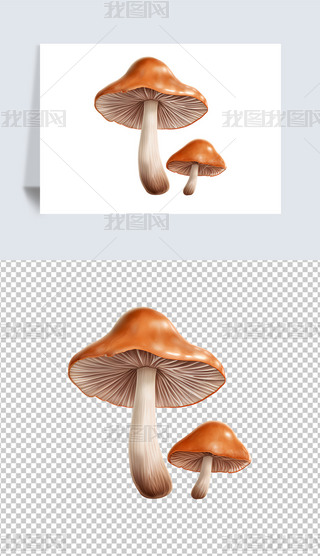 Ģɫ