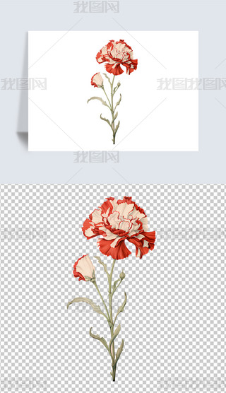 ͨLL(fng)N^ֲﻨܿܰ