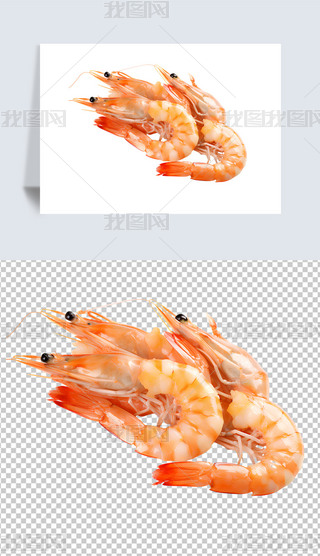ʳʳrrһPtrͱP⓸Ԫ