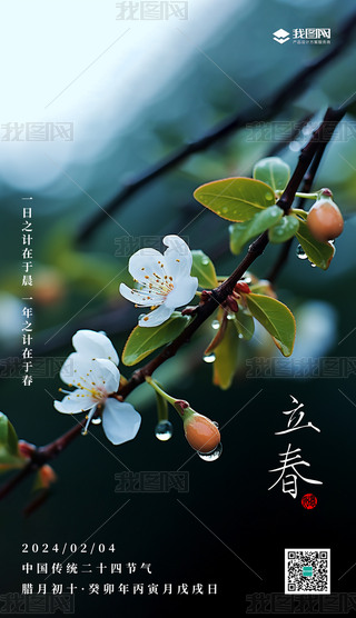 Gɫy(tng)ʮĹ(ji)ִ캣(bo)