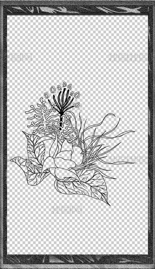 L宋(hu)辀زֳ(bo)Ԫ(6)