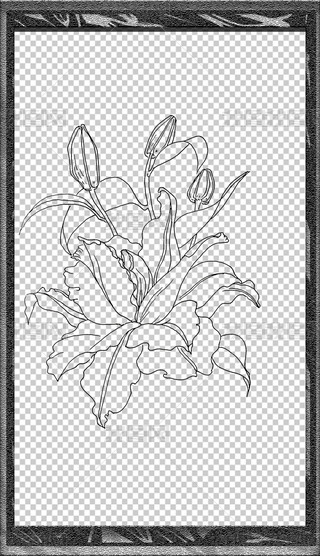 D۰ٺϰ辀زֳ(bo)Ԫ