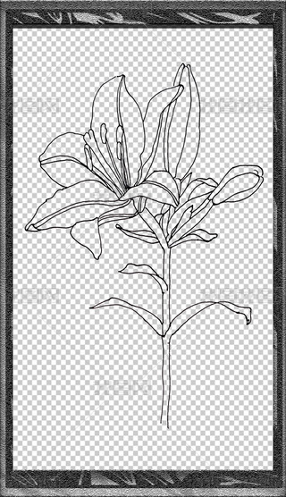 L宋(hu)ٺϾزֳ(bo)Ԫ