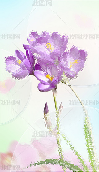 ɢë|(zh)дִN(xio)(bo)