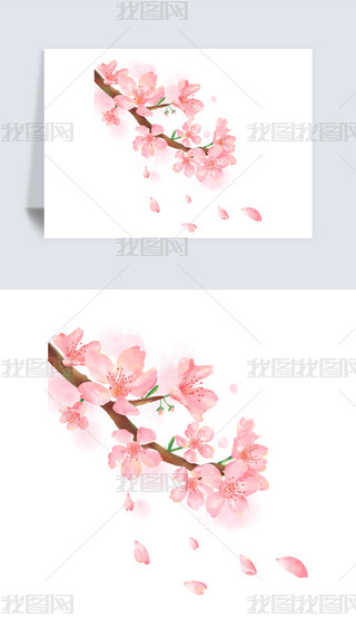 LˮʹLЇLΨˮīز