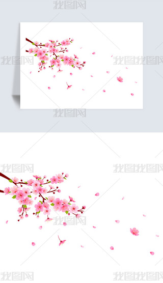 LˮʹLЇLΨˮīز