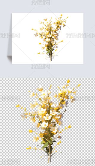 ɫSɫӭһrֲ⓸