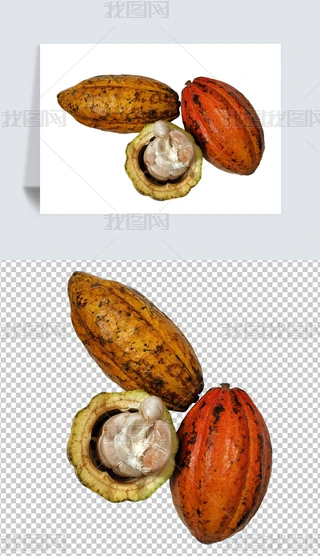 ͸⓸ˮɿɹNɿֲ