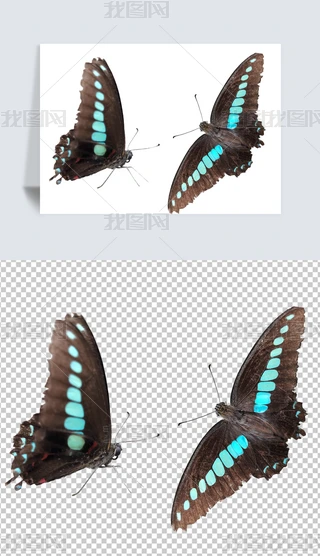 ͸⓸{(ln)PβPɫ
