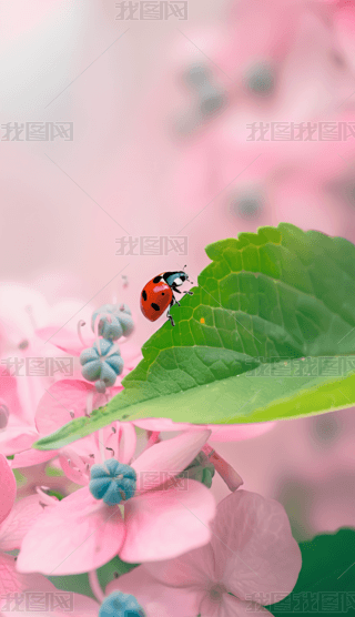 ļﶬȻB(ti)܄(dng)ֲ֙C(j)ڼDƬdԪ