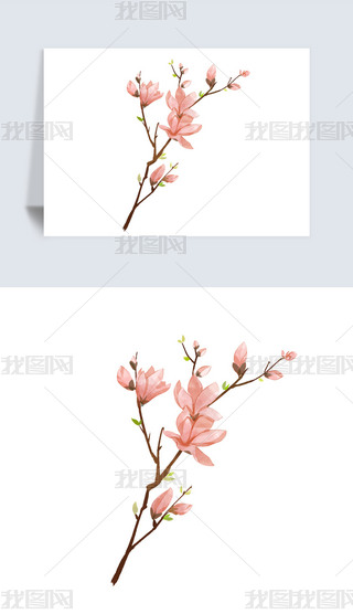 LL(fng)Ї(gu)L(fng)Ψˮī(gu)һѻز