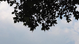 г