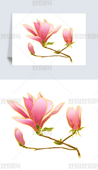 LL(fng)Ї(gu)L(fng)Ψˮī(gu)һѻز