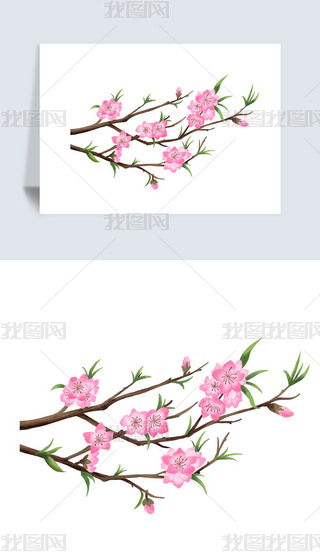 LL(fng)Ї(gu)L(fng)Ψˮī(gu)һѻز