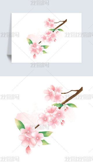 LL(fng)Ї(gu)L(fng)Ψˮī(gu)һѻز