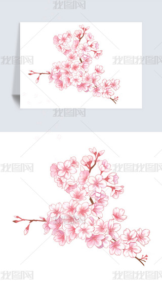 LL(fng)Ї(gu)L(fng)Ψˮī(gu)һѻز