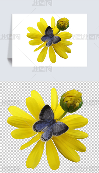 ͸⓸PNGСS仨Ϣٲɻ