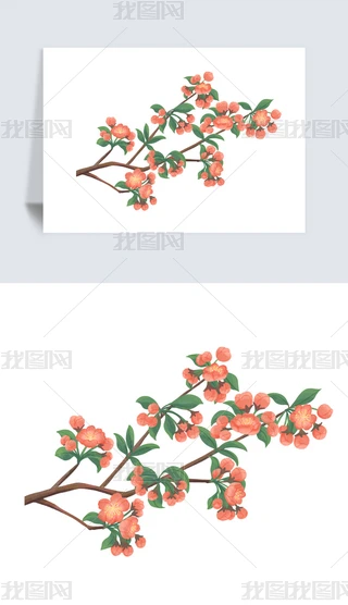 LLЇLΨˮīһѻز