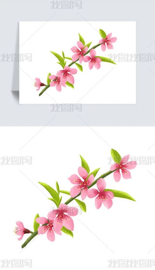 LLЇLΨˮīһѻز