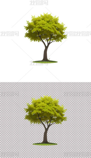 һôСľֲïʢ(4)