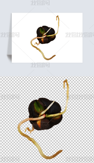 ⓸ɽ軨NӘ(bio)NӰl(f)ѿo