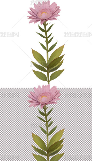 ¶ˮr