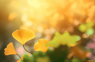 ɢL(fng)ʮĹ(ji)ϵв宋(hu) Sɫy~ֲС²宋(hu) \(yn)(dng)ģ MDƬdԪ