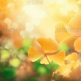 ɢL(fng)ʮĹ(ji)ϵв宋(hu) Sɫy~ֲС²宋(hu) \(yn)(dng)ģ MDƬdԪ