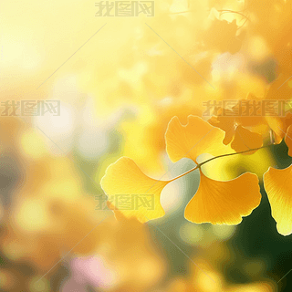 ɢLʮĹ(ji)ϵв宋 Sɫy~ֲС²宋 \ģ MDƬdԪ