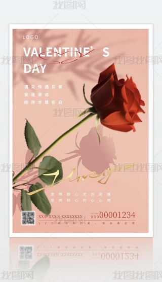 ɫs2024520˹NOӋ